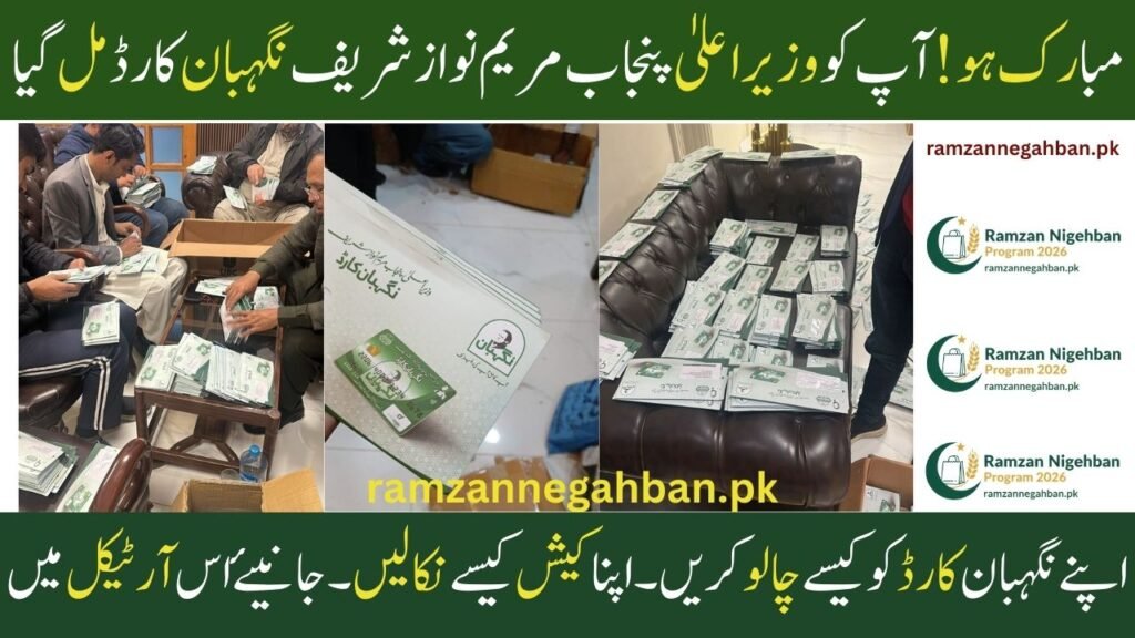 Congratulations! You have received the CM Punjab Maryam Nawaz Sharif Nigehban Card