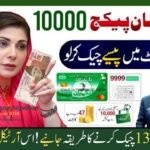 9999 Ramzan Package 2026 | Maryam Nawaz Nigehban Card 10000 Apply Code | 13000 Check Karne Ka Tarika